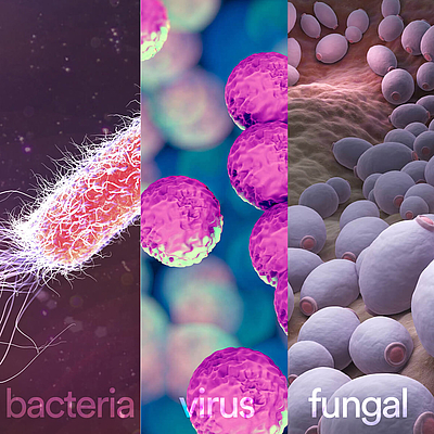 RÜBIG NitroPep schützt zuverlässig gegen Bakterien, Viren und Pilze © RÜBIG